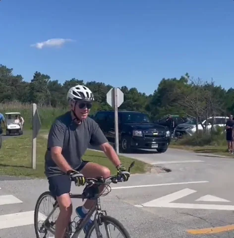 Joe Biden sniffing hair GIF